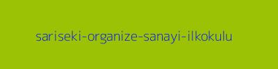 SARISEKİ ORGANİZE SANAYİ İLKOKULU