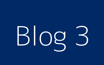 Blog 3