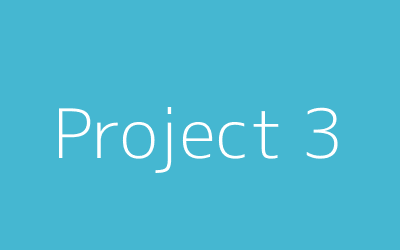 Project 3