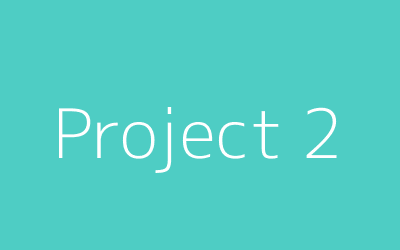 Project 2