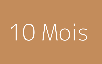10 mois
