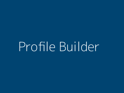 Profile Building Interface