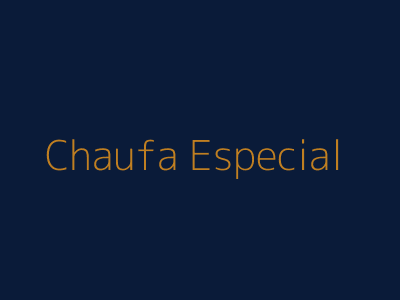 Arroz Chaufa Especial