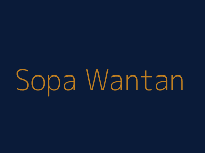 Sopa Wantán
