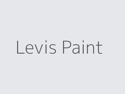 Levis Muurverf Wit 10 l