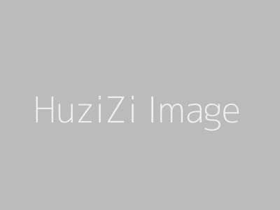 HuziZi Image
