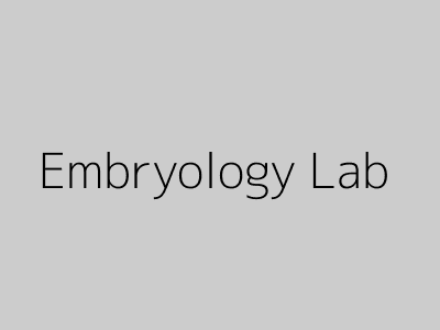 Embryology Lab
