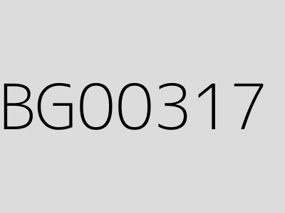 BG00317