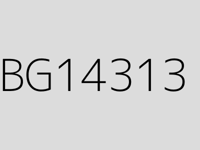 BG14313