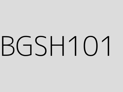 BGSH101