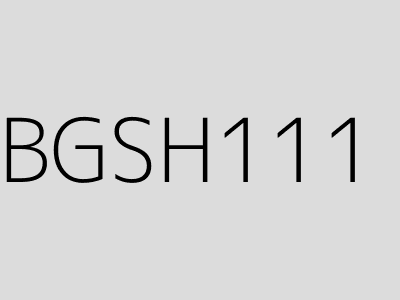 BGSH111