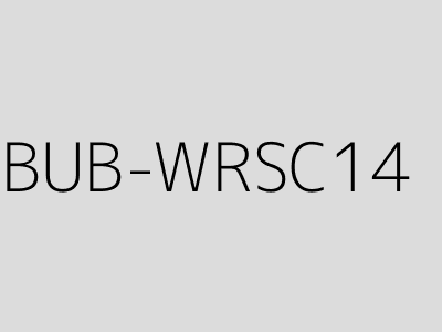 BUB-WRSC14