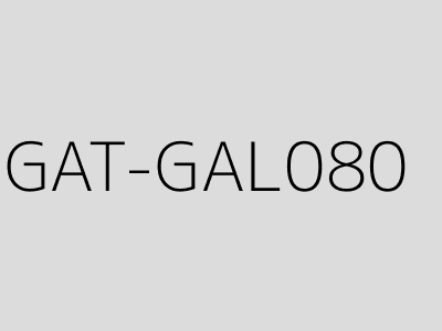 GAT-GAL080