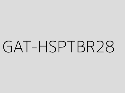 GAT-HSPTBR28