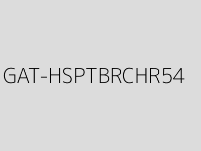 GAT-HSPTBRCHR54