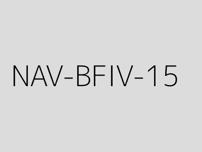 NAV-BFIV-15