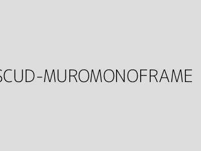 SCUD-MUROMONOFRAME