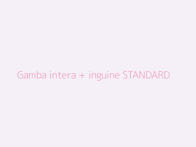 Gamba intera + inguine STANDARD