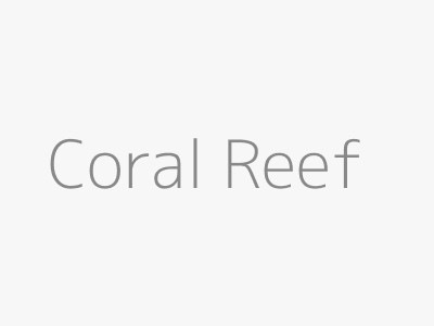 Coral Reef Image