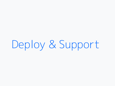 Deploy and Support Phase