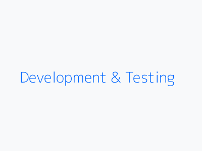 Development and Testing