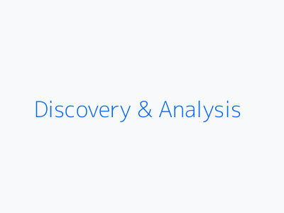 Discovery and Analysis Phase