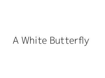 A White Butterfly