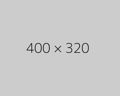 400x320