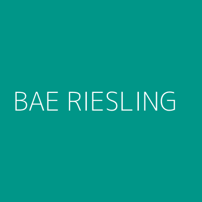 Product BAE RIESLING