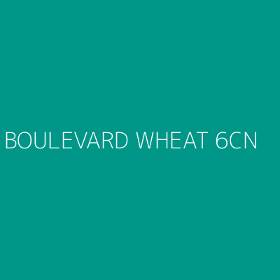 Product BOULEVARD WHEAT 6CN