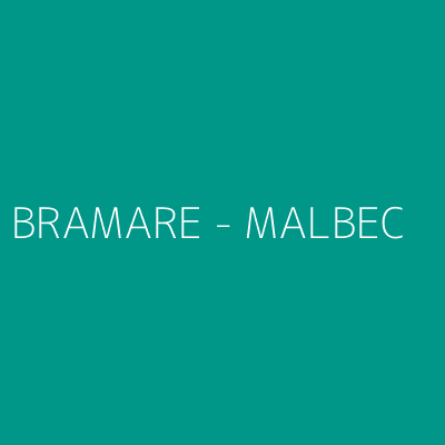 Product BRAMARE - MALBEC