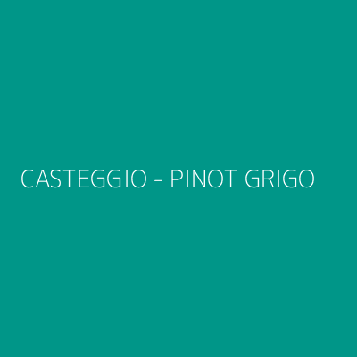 Product CASTEGGIO - PINOT GRIGO