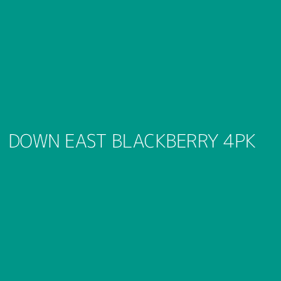 Product DOWN EAST BLACKBERRY 4PK