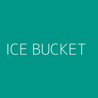 Product ICE BUCKET