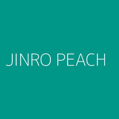 Product JINRO PEACH