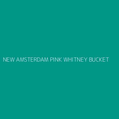 Product NEW AMSTERDAM PINK WHITNEY BUCKET