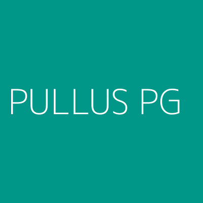 Product PULLUS PG