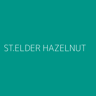 Product ST.ELDER HAZELNUT
