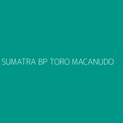 Product SUMATRA BP TORO MACANUDO