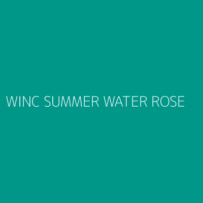 Product WINC SUMMER WATER ROSE