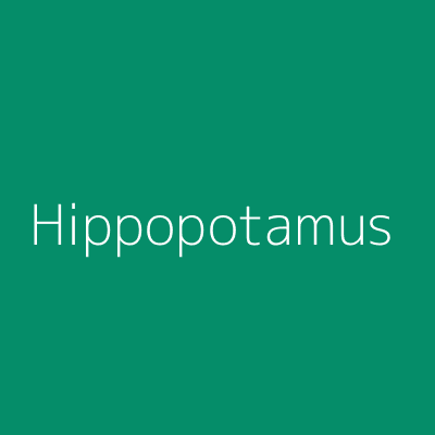 Hippopotamus