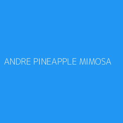 Product ANDRE PINEAPPLE MIMOSA