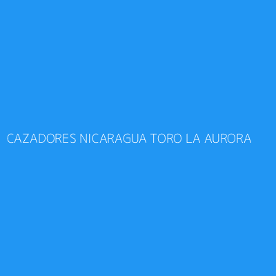 Product CAZADORES NICARAGUA TORO LA AURORA