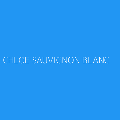 Product CHLOE SAUVIGNON BLANC