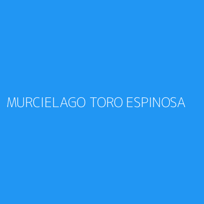 Product MURCIELAGO TORO ESPINOSA
