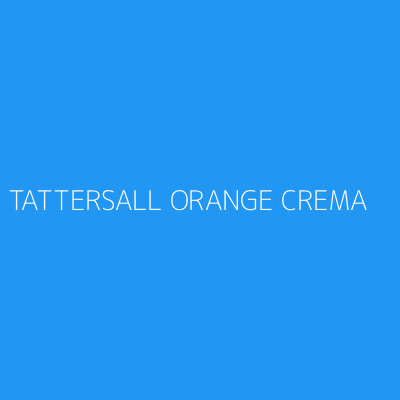 Product TATTERSALL ORANGE CREMA