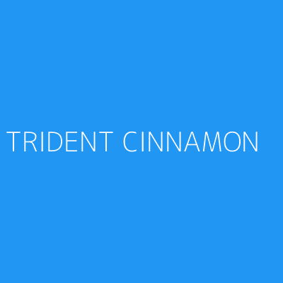 Product TRIDENT CINNAMON