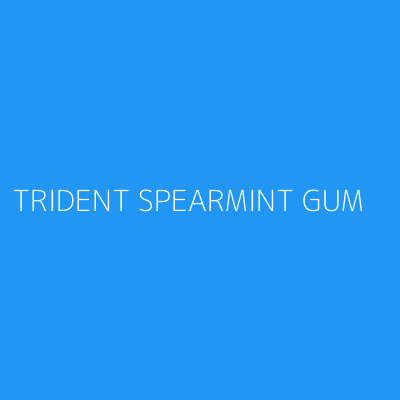 Product TRIDENT SPEARMINT GUM