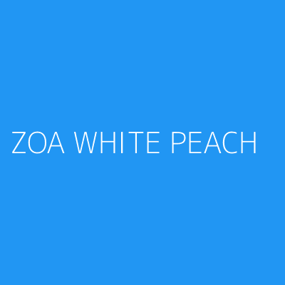 Product ZOA WHITE PEACH