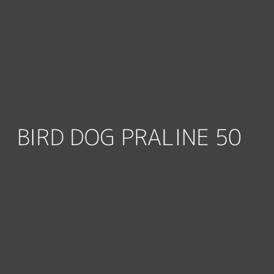 Product BIRD DOG PRALINE 50